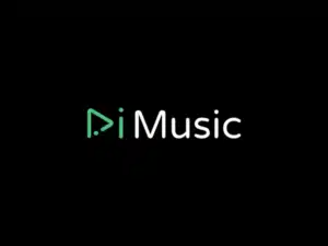 RiMusic APK v0.6.43 – YouTube Music MOD Desbloqueado 1